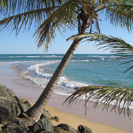 Comfortable And Affordable Deal Close To Beach And Rainforest Rio Grande Zewnętrze zdjęcie