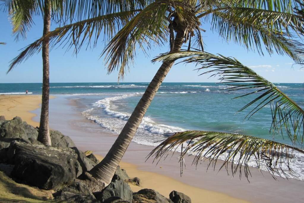 Comfortable And Affordable Deal Close To Beach And Rainforest Rio Grande Zewnętrze zdjęcie